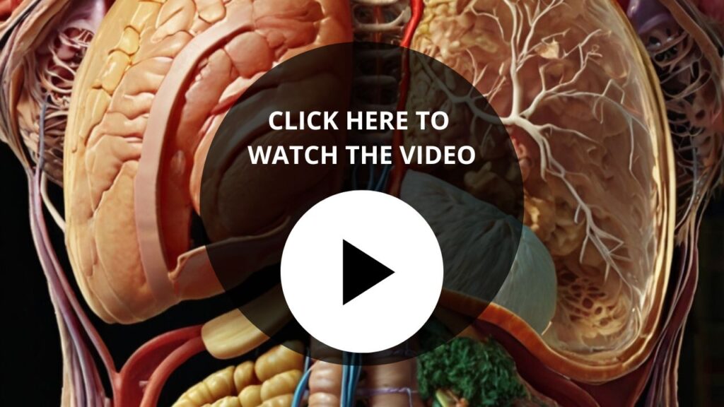 Watch the Gut Health and Weight Loss Video