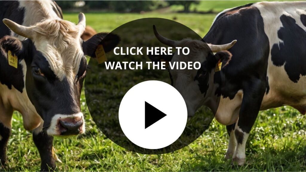 Watch the Dairy Weight Loss Secret Video